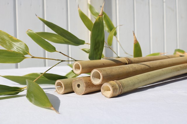 bamboestokken | In diktes en lengtes | Duurzaam